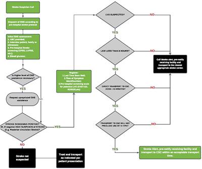 Pre-hospital Assessment of Large Vessel Occlusion Strokes: Implications for Modeling and Planning Stroke Systems of Care